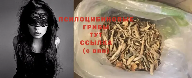 Галлюциногенные грибы MAGIC MUSHROOMS  mega как зайти  Кедровый 